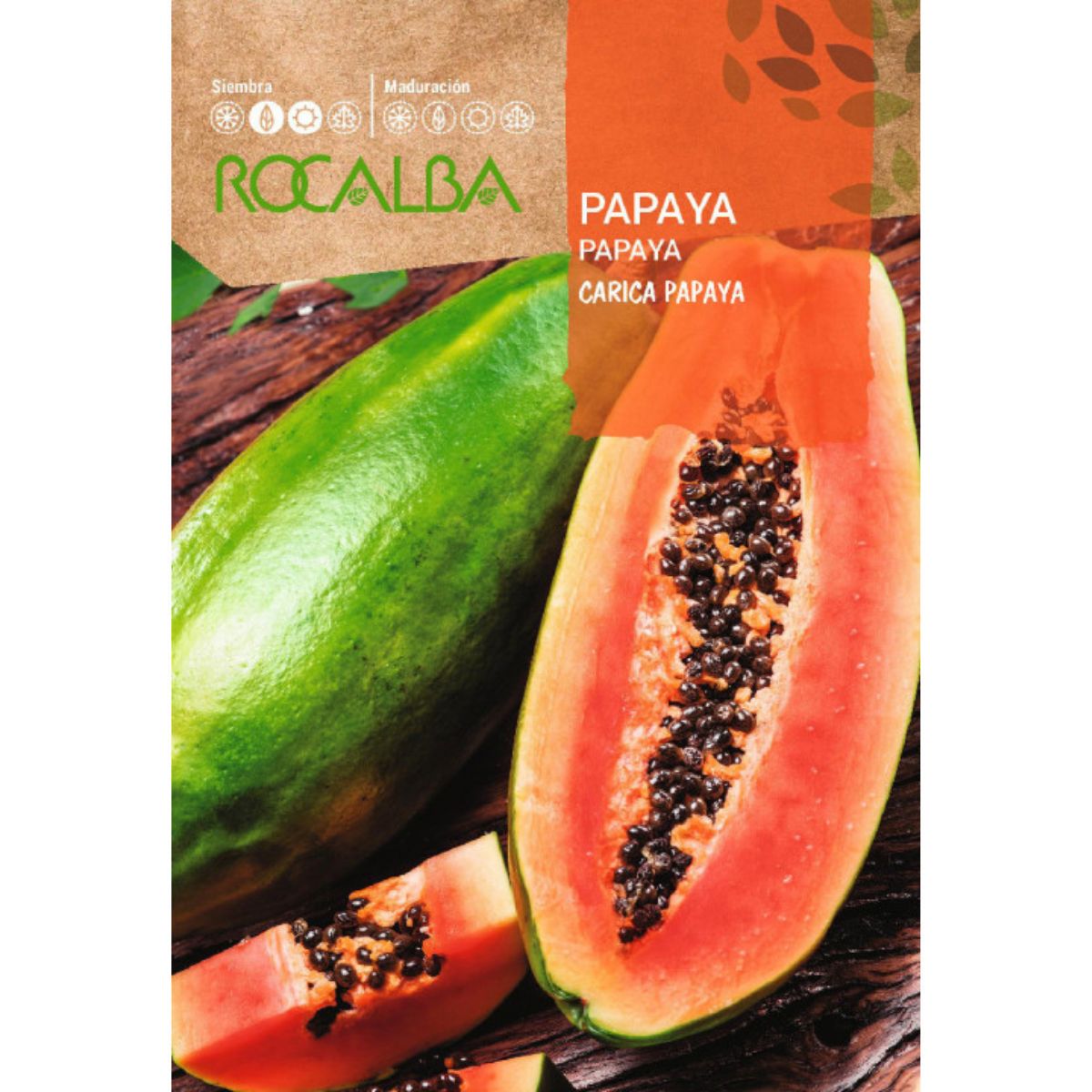 Semillas de Papaya Carica papaya