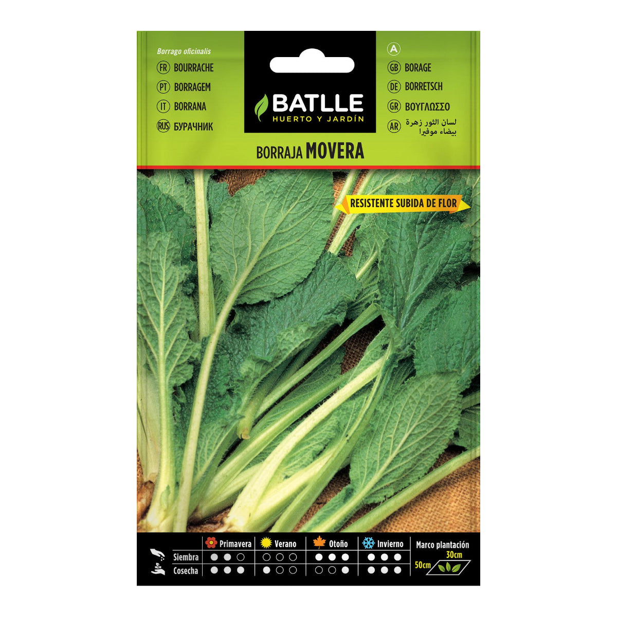 Semillas de Borraja Movera Batlle