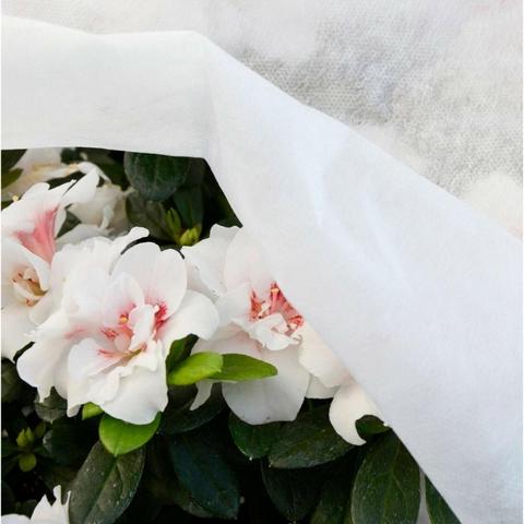 Tela protección de cultivos antiheladas Biotop 1.5 x 5 m 17 gr/m²