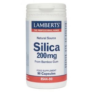 Silicio 90 cápsulas Lamberts 200mg