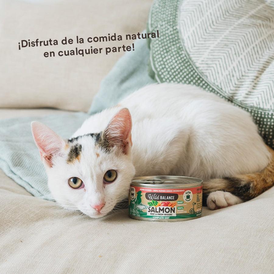 Pack Lata de Salmón y Ternera BARF para gatos 6 x 120 g Wild Balance