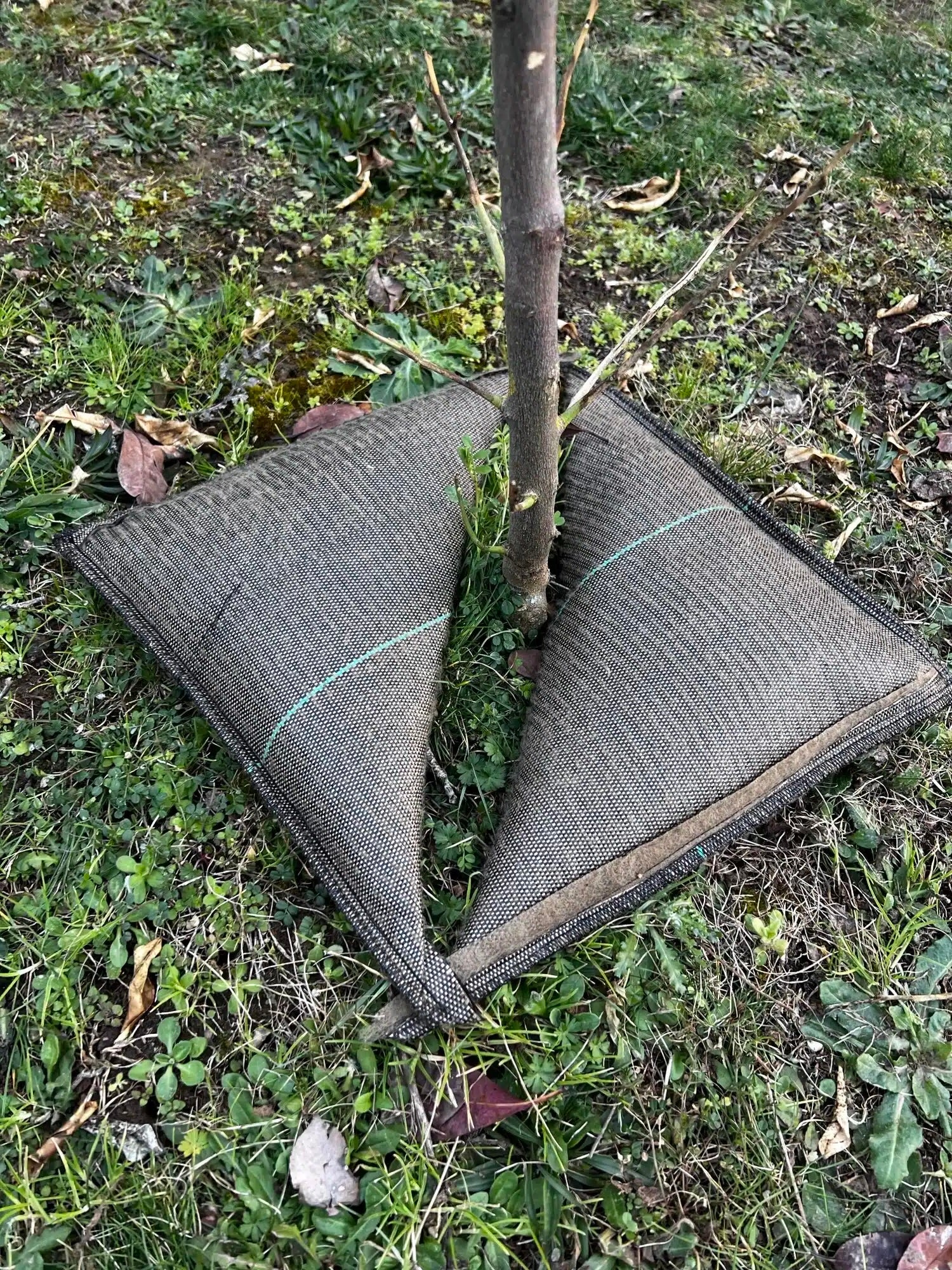 Pack De 10 Cojines De Riego Para Plantas Tree’bed 500.