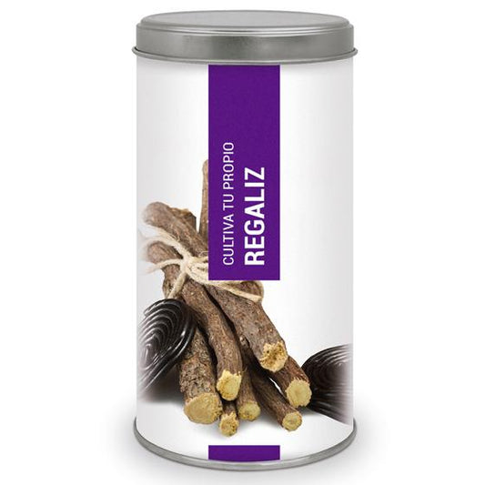 Cultiva tu propio Regaliz