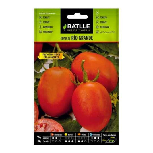 Semillas de Tomate Río Grande Batlle