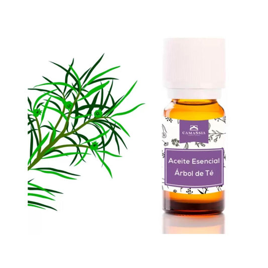 Aceite esencial árbol de té (Melaleuca Alternifoli). Camassia 30 ml