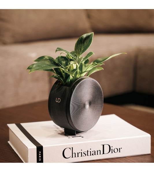 Maceta Redonda De Sobremesa O De Pared Con Autorriego – Negro