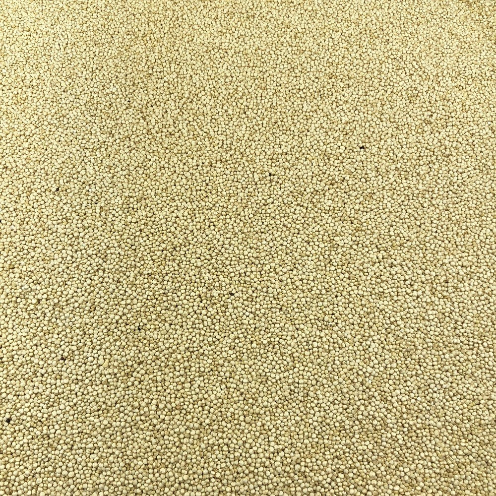 Quinoa Blanca Orgánica A Granel 25 Kg_2