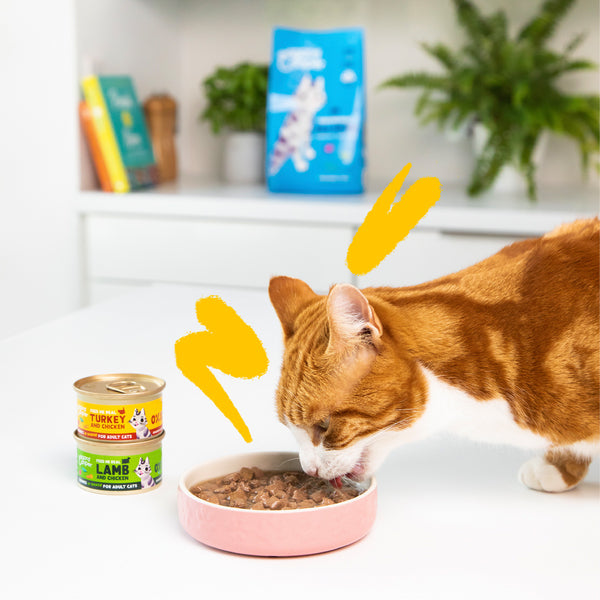 Comida húmeda gatos en salsa Trocitos de Pavo y Pollo Edgard & Cooper 85 g