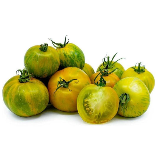 Plantón de Tomate cherry cebra en maceta 11 cm