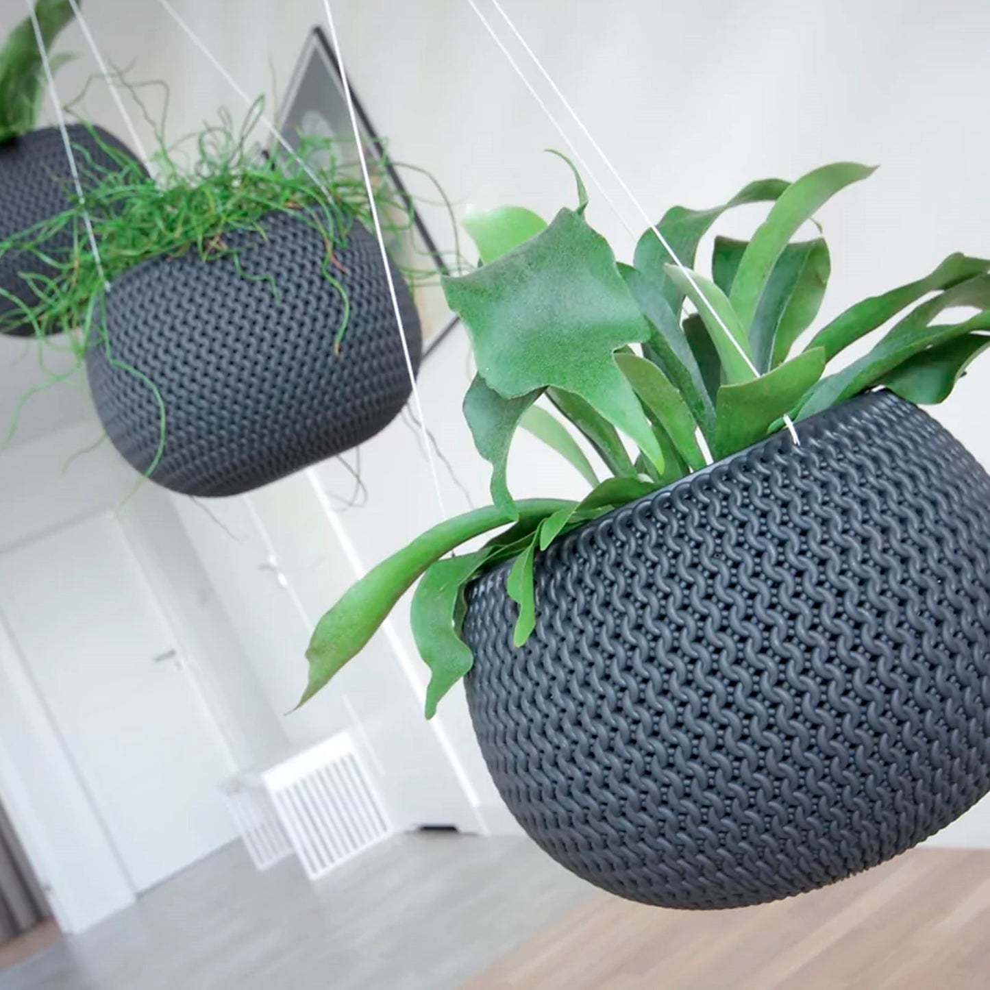 Maceta Splofy Bowl Ws 9l., Con Depósito, Dimensiones (mm) 370x370x218, Color Arándano Claro_5