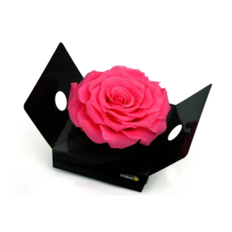 Mundo Eterno Rosmelia Preservada Rosa 12cm_0