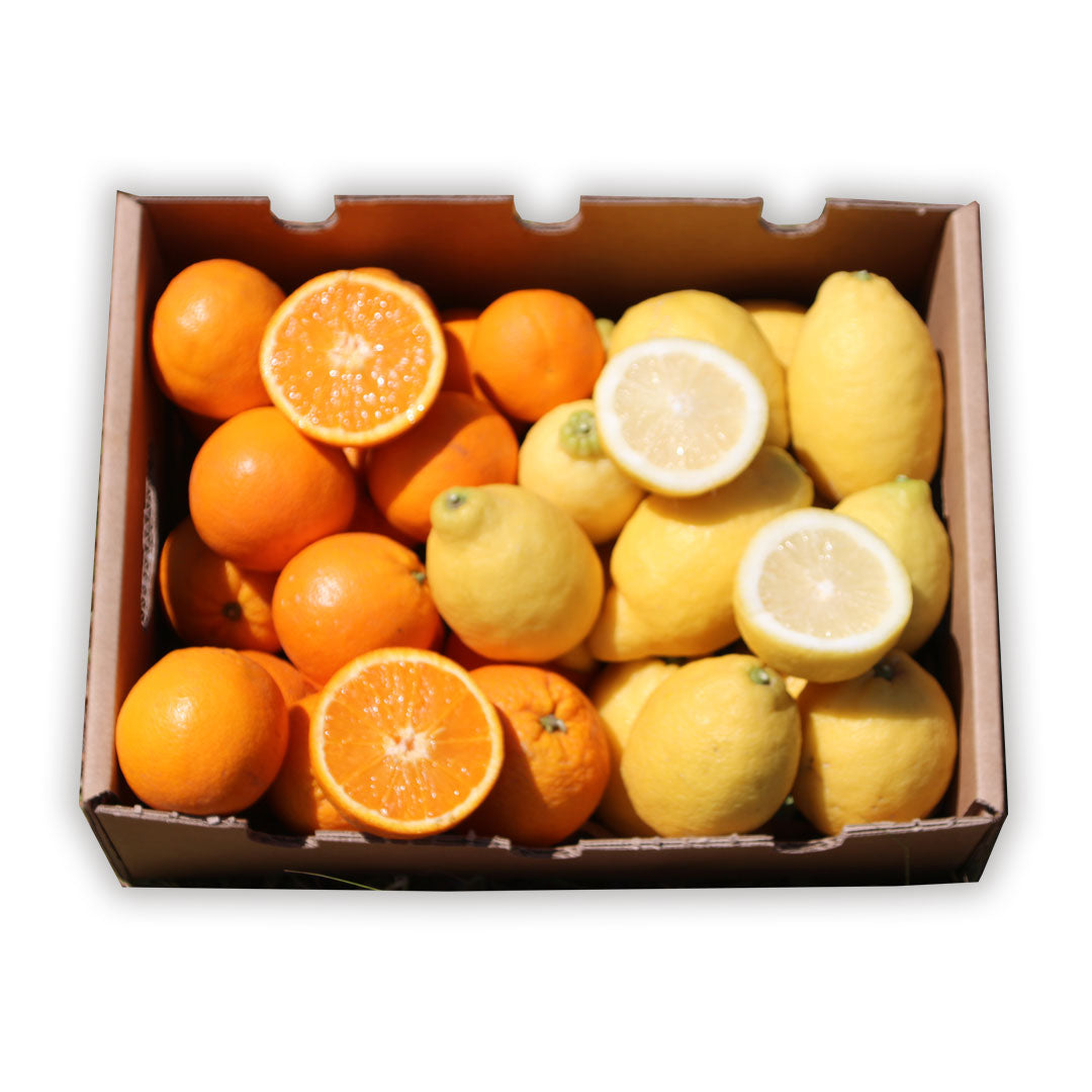 Mix Naranjas Y Limones Valencianos De Temporada Tropitop 4kg