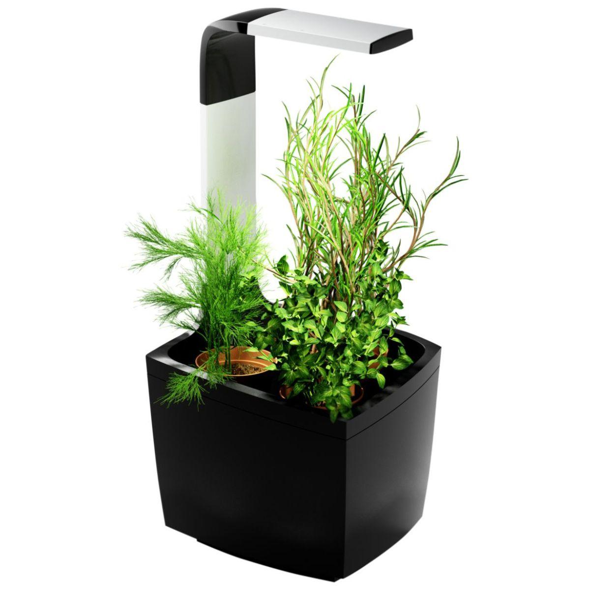 Maceta autocultivo T3 Kitchen Garden 20 x 17,5 cm Negro