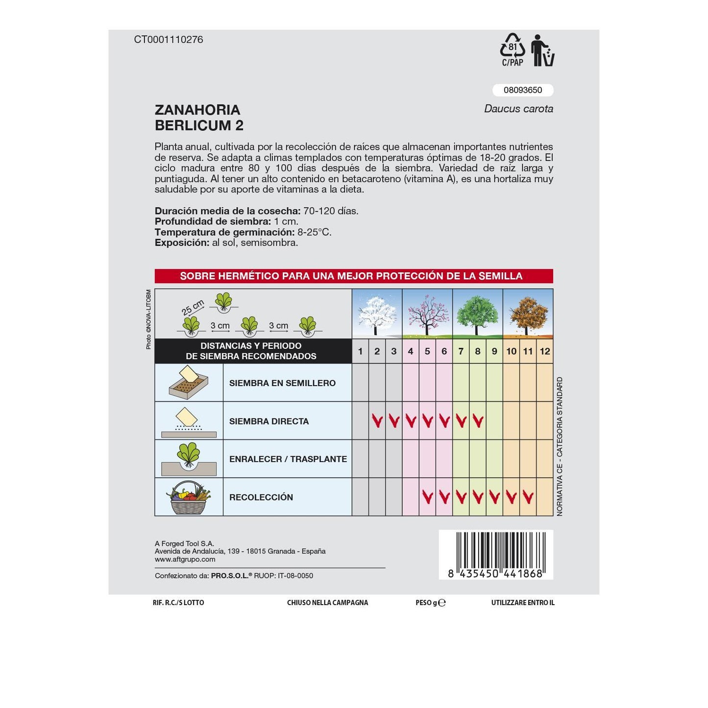 Semillas Huerto Zanahoria Berlicum_1