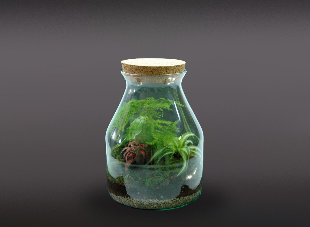 Nanogarden Terrario Bottle Withe Mix 26x20cm_1