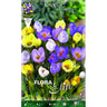 Bulbos Crocus mezcla de colores 20 uds