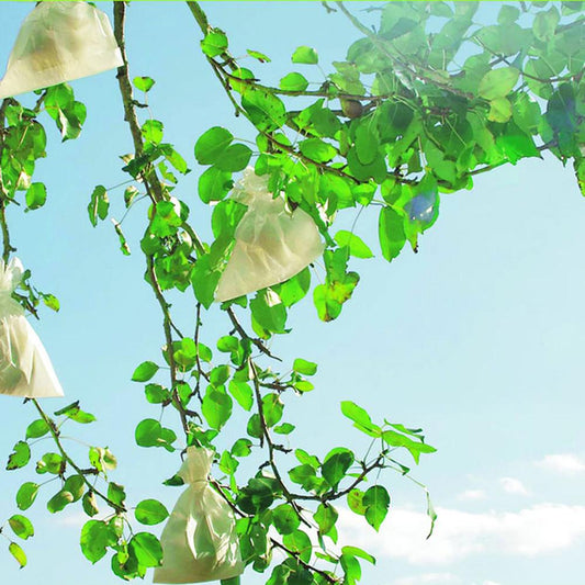 Fundas protectoras para frutos Fruitsac Nortene 50 ud 17 x 22 cm.