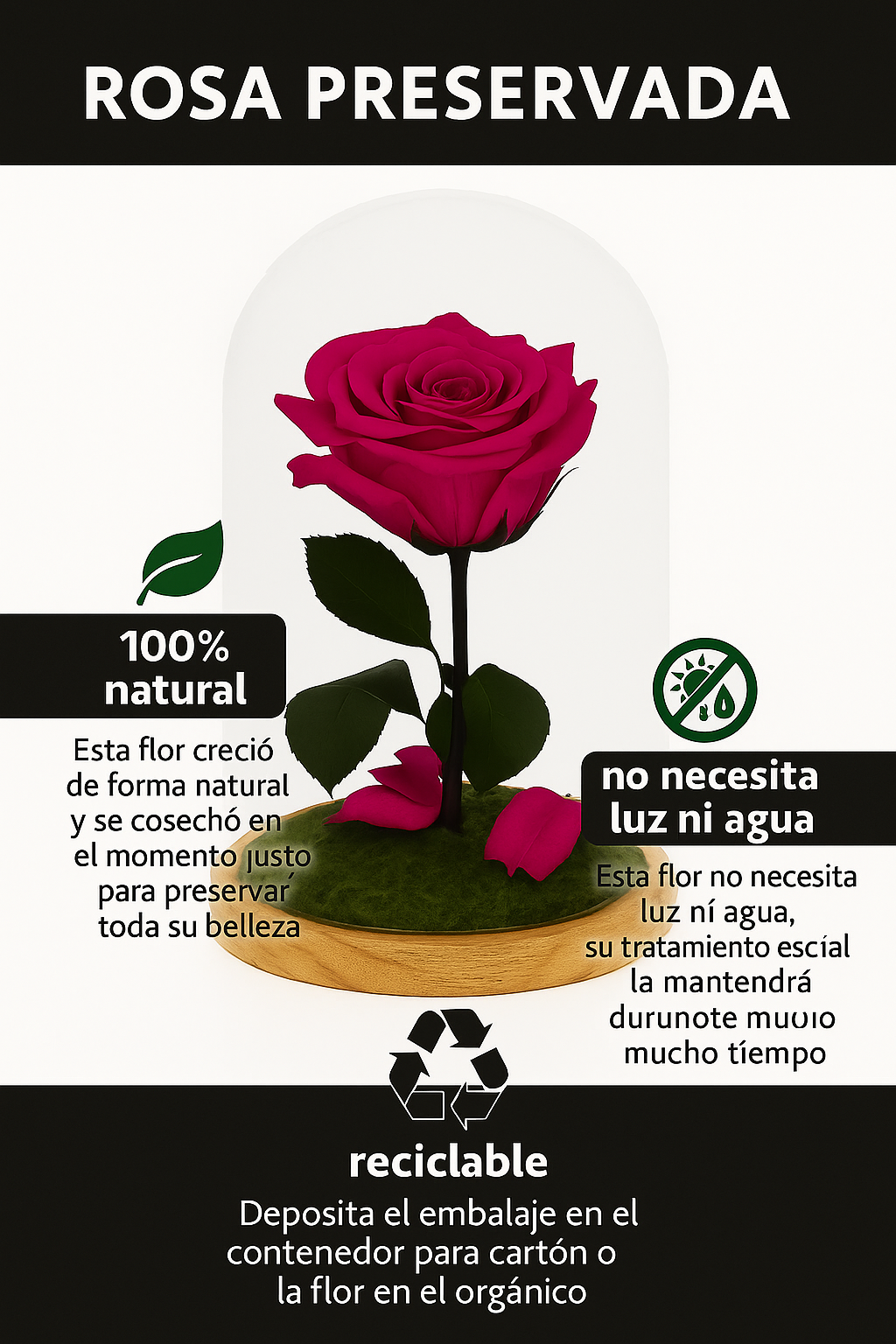 Mundo Eterno Rosa En Cúpula Fucsia 12x20cm_4