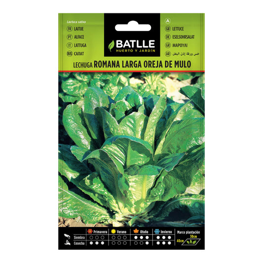 Semillas de  Lechuga Larga Oreja de Mulo