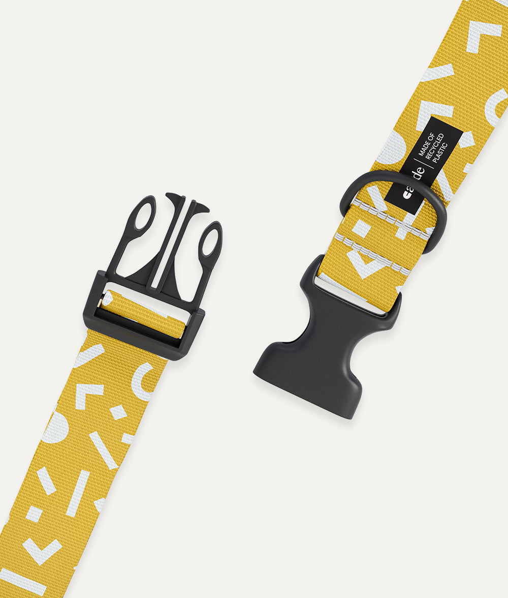 Cafide Collar De Material Pet Reciclado Mostaza. Modelo Juno.