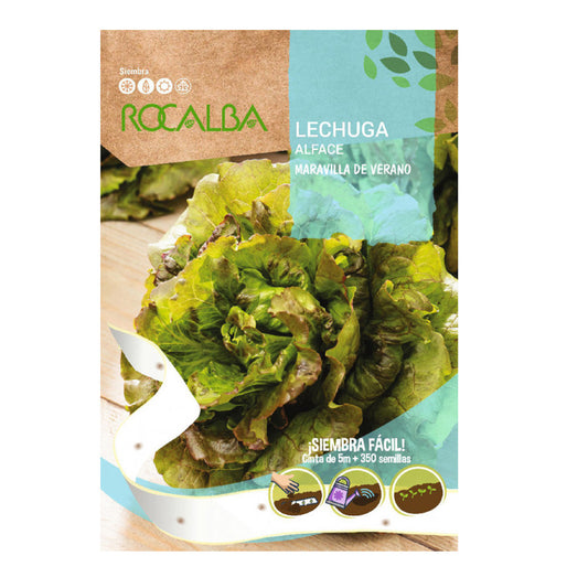 Semillas de Lechuga Maravilla de Verano en cinta, Rocalba