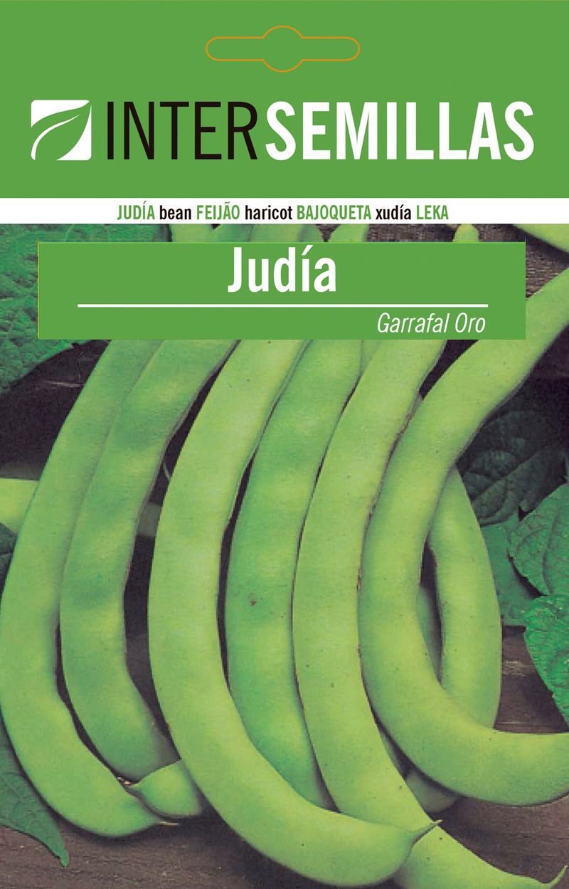 Sobre De Semillas Judia Garral Oro