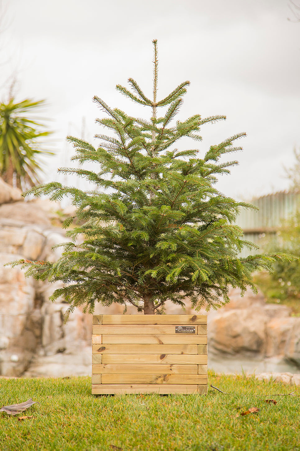 Jardinera Cuadrada  De Madera Tratada Autoclave De 50 X 50 X 40 Cm 67l Para Jardin,terraza,exterior + Bolsa Geotextil