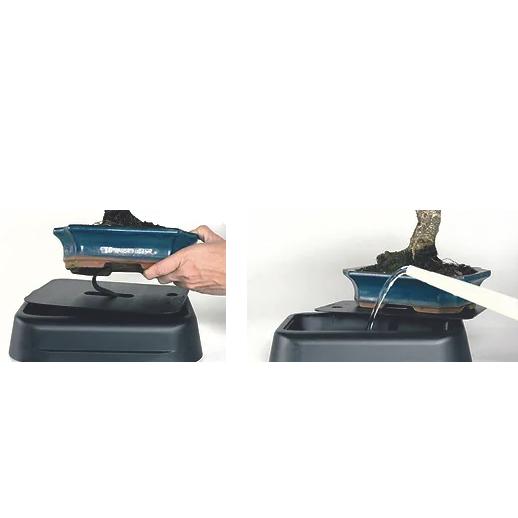 Sistema de auto riego para bonsáis 25 cm Hidrobonsai