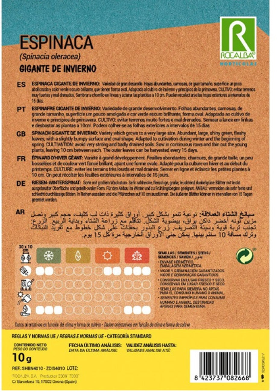 Semillas Espinaca Gigante De Invierno 1k