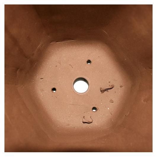 Tiesto cascada grande Asakusa