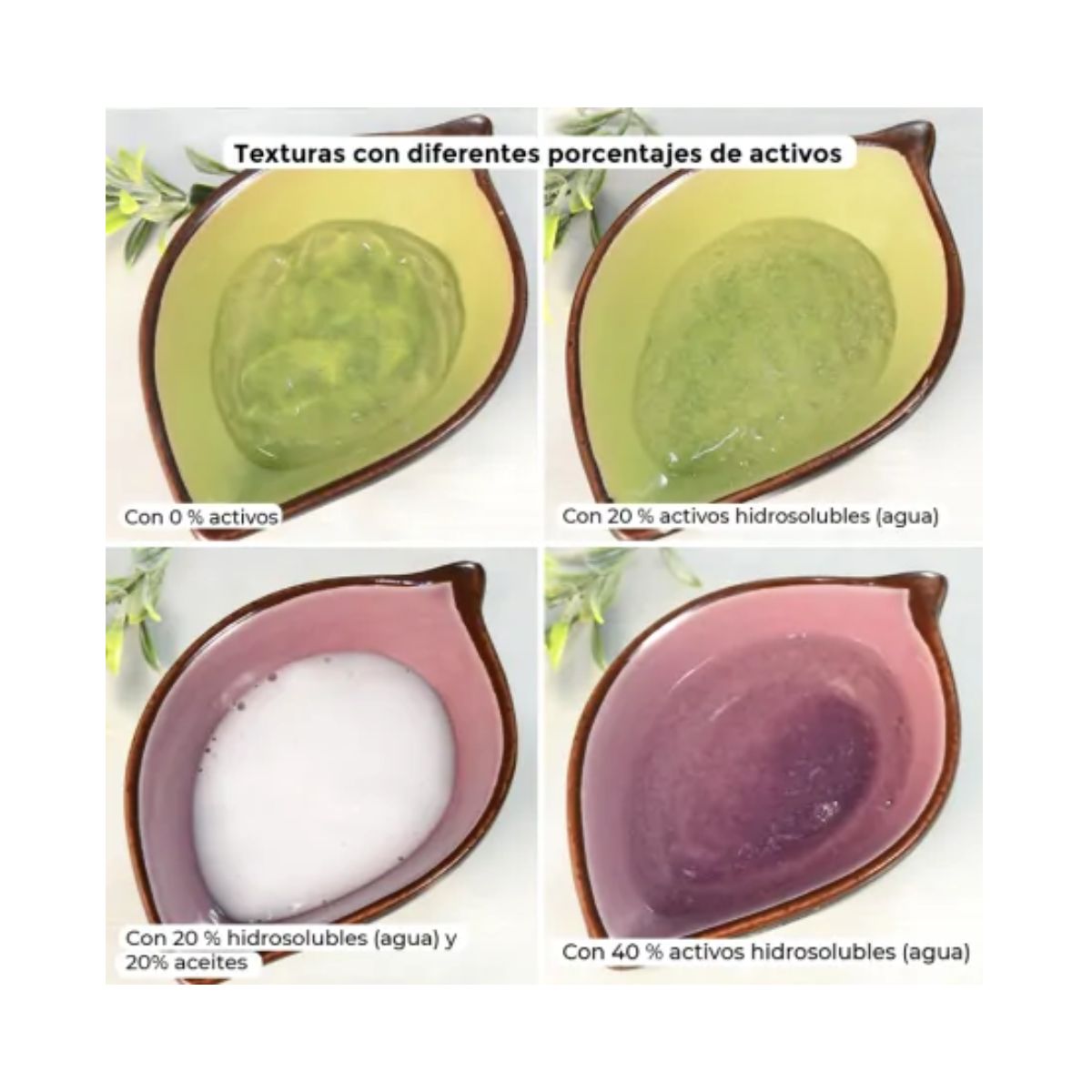 Jabón Base certificado ecológico, Camassia, 1000ml