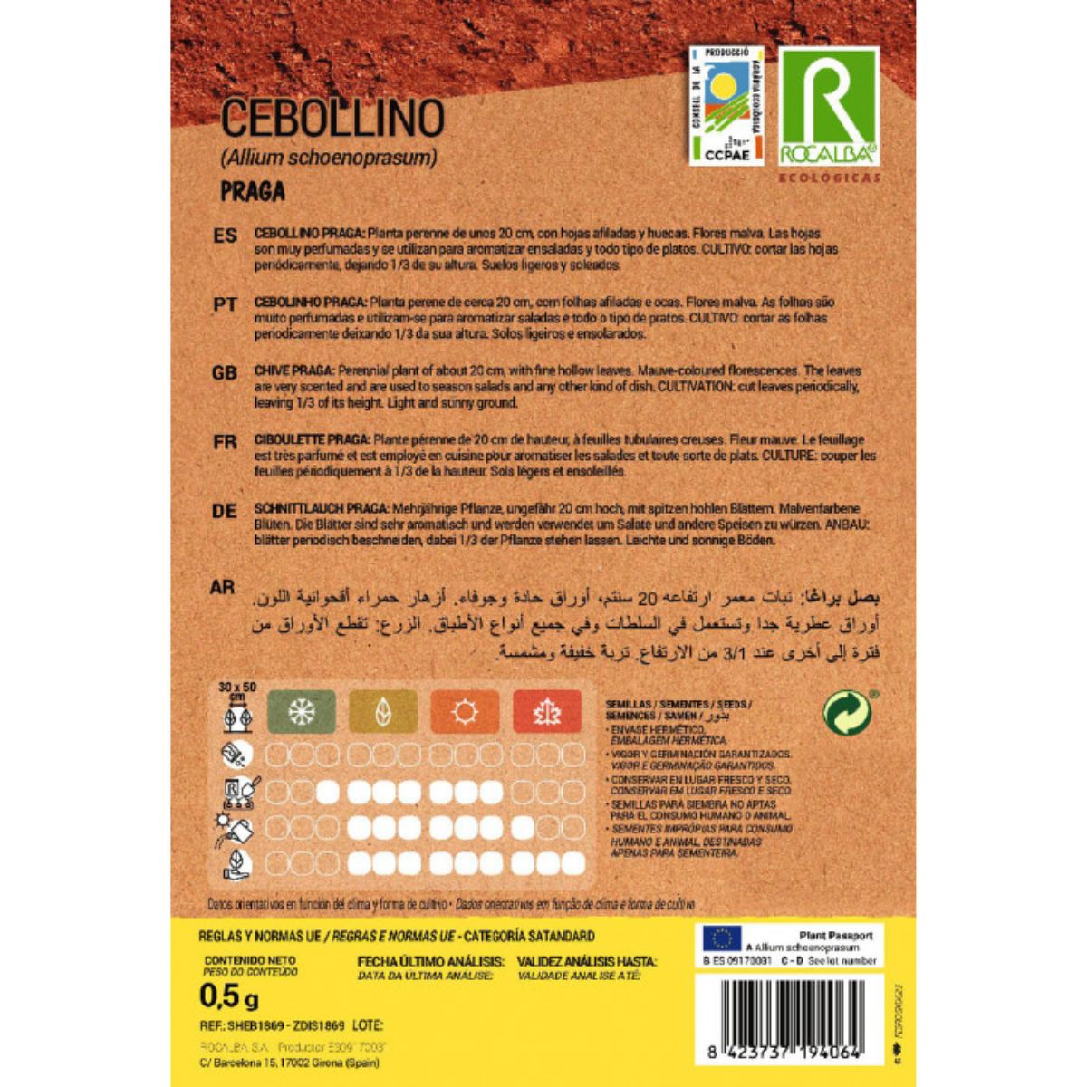 Semillas de cebollino Praga ecológicas Rocalba