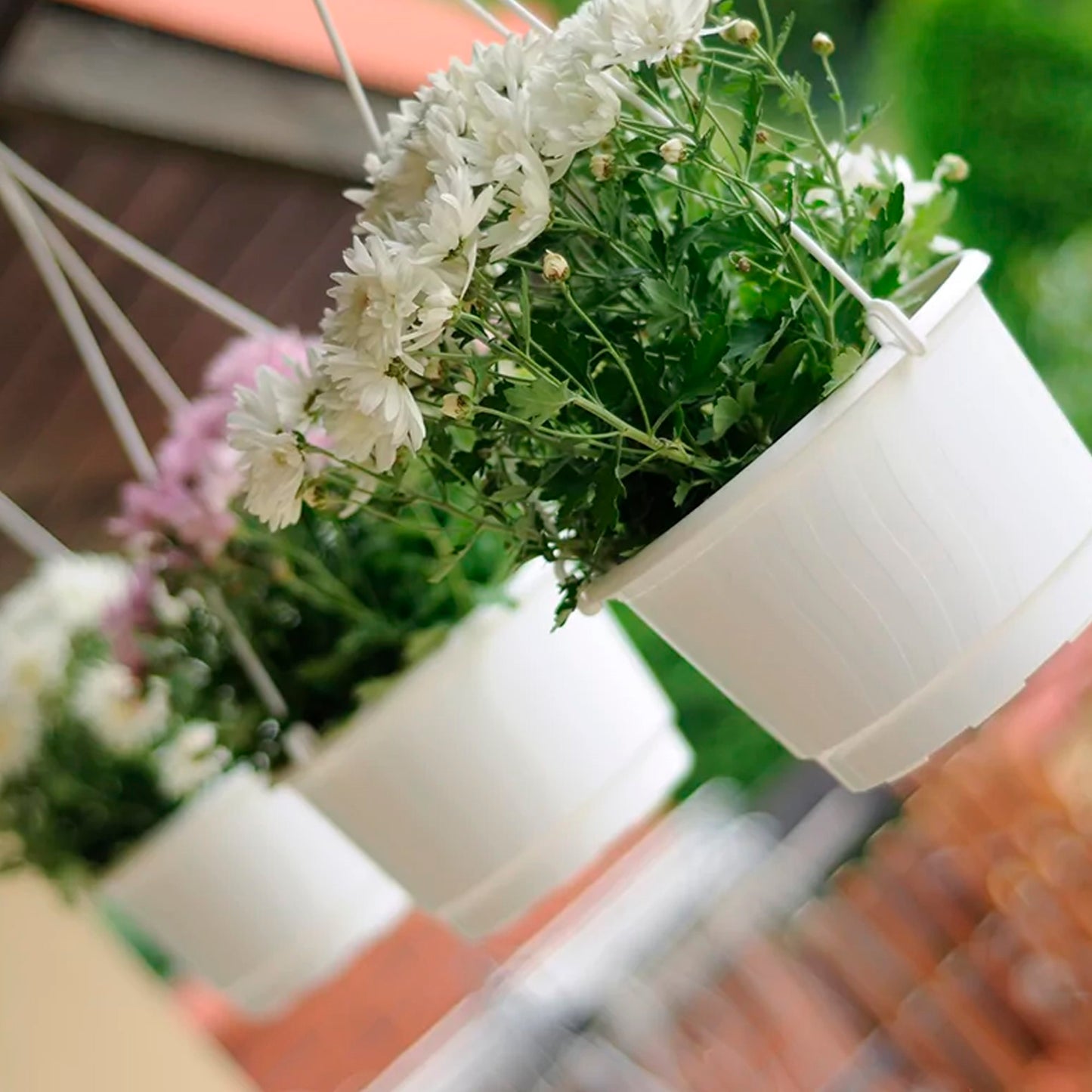 Macetero Colgante Pro 5l., Dimensiones (mm) 240x240x155, Color Blanco_5