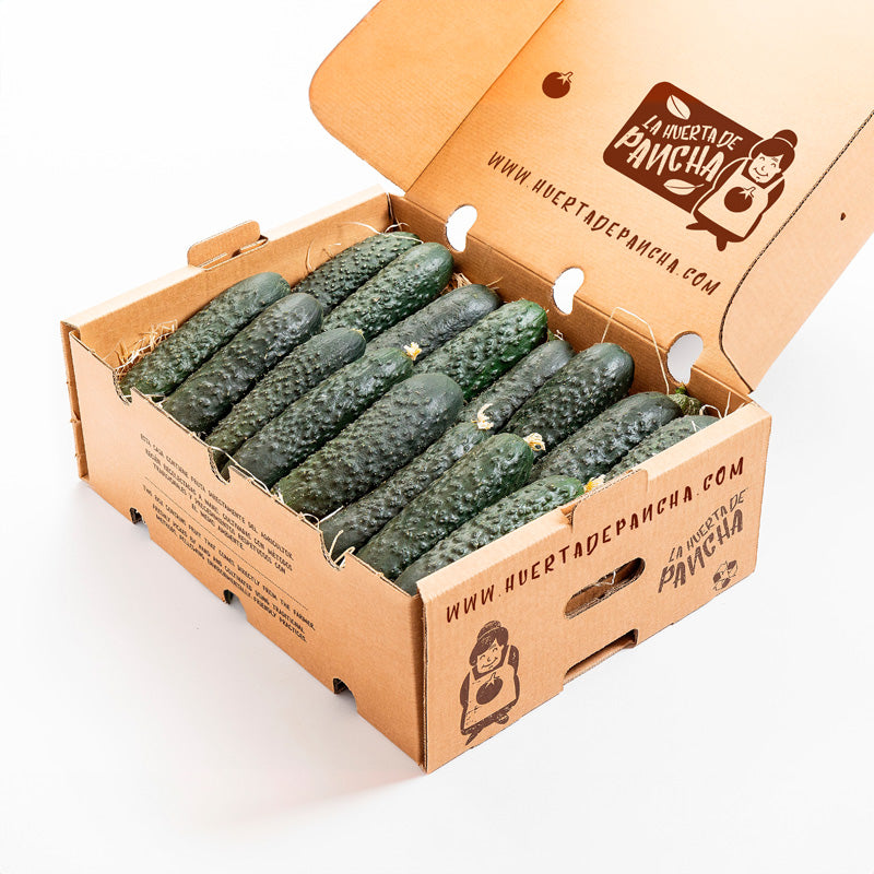 Pepinos Directos Desde El Campo 1/2 Kg_2