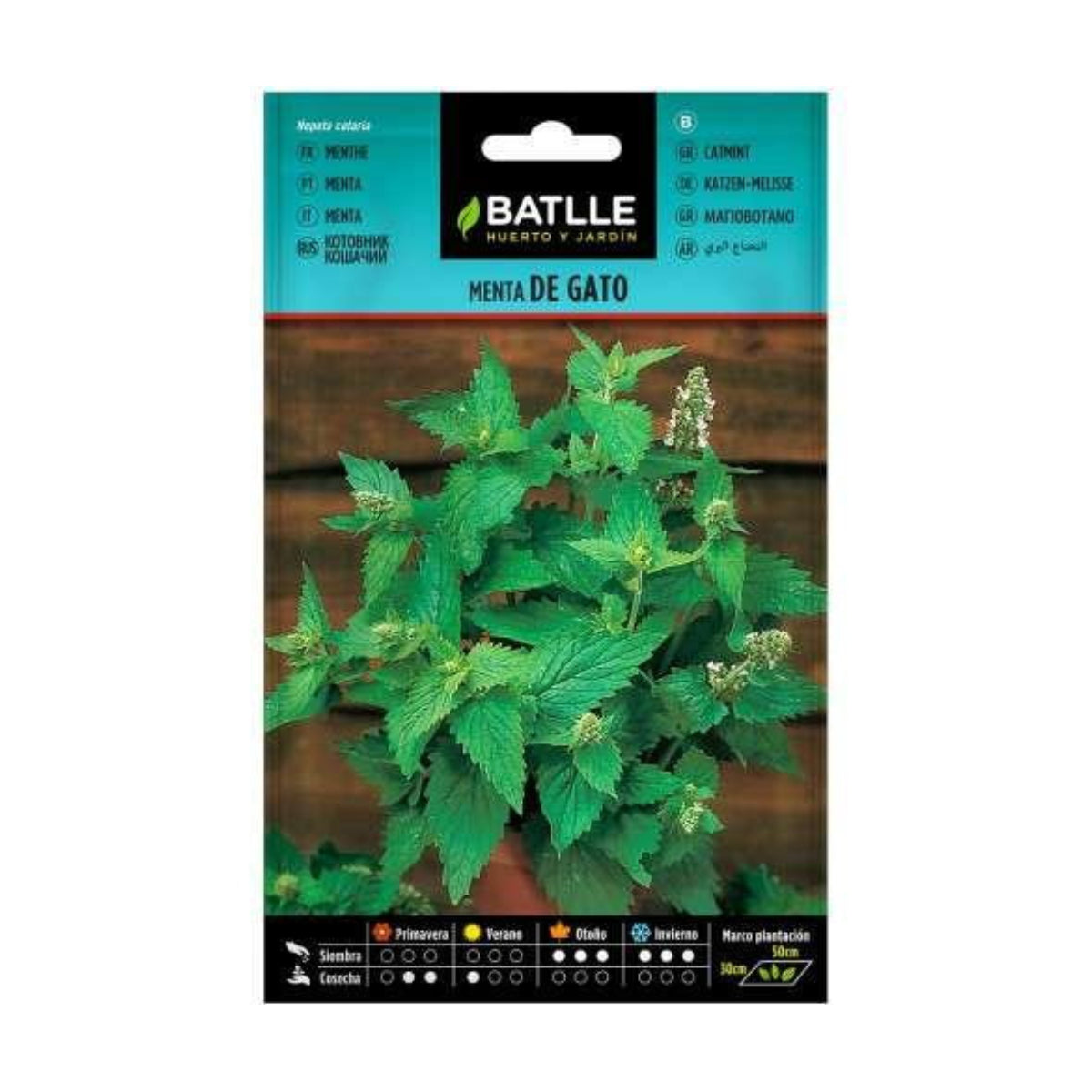 Semillas de Menta de Gato  Batlle