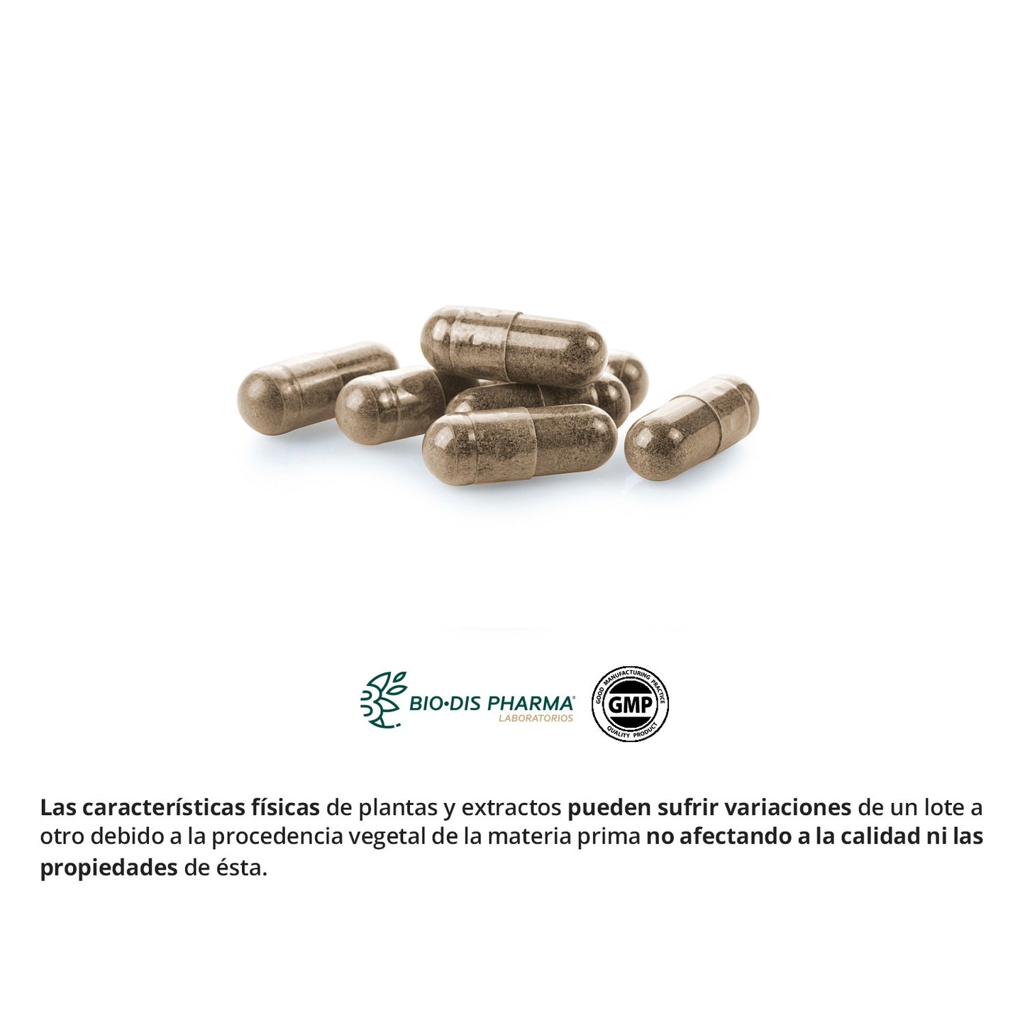 Reishi ( Micelio ) 400 Mg Nature Essential 50 Cápsulas