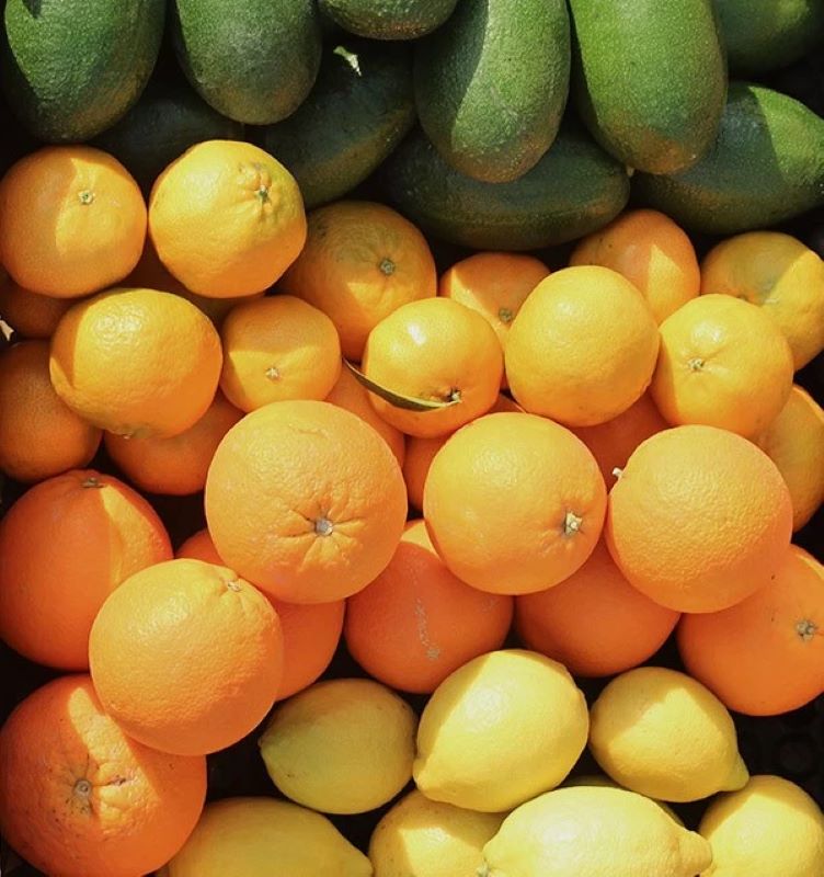 Pack 9kg- Aguacate Bacon (4kg), Mandarinas (2kg), Naranjas (2kg) Y Limones (1kg)_3
