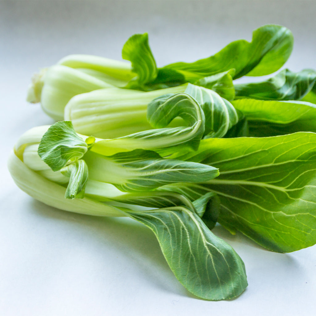 Plantón Pak Choi - Plantabo.
