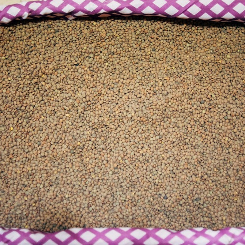 1 Kg de lenteja Pardina_0