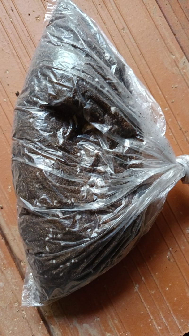 Sustrato Para Cactus Y Suculentas 1 Litro