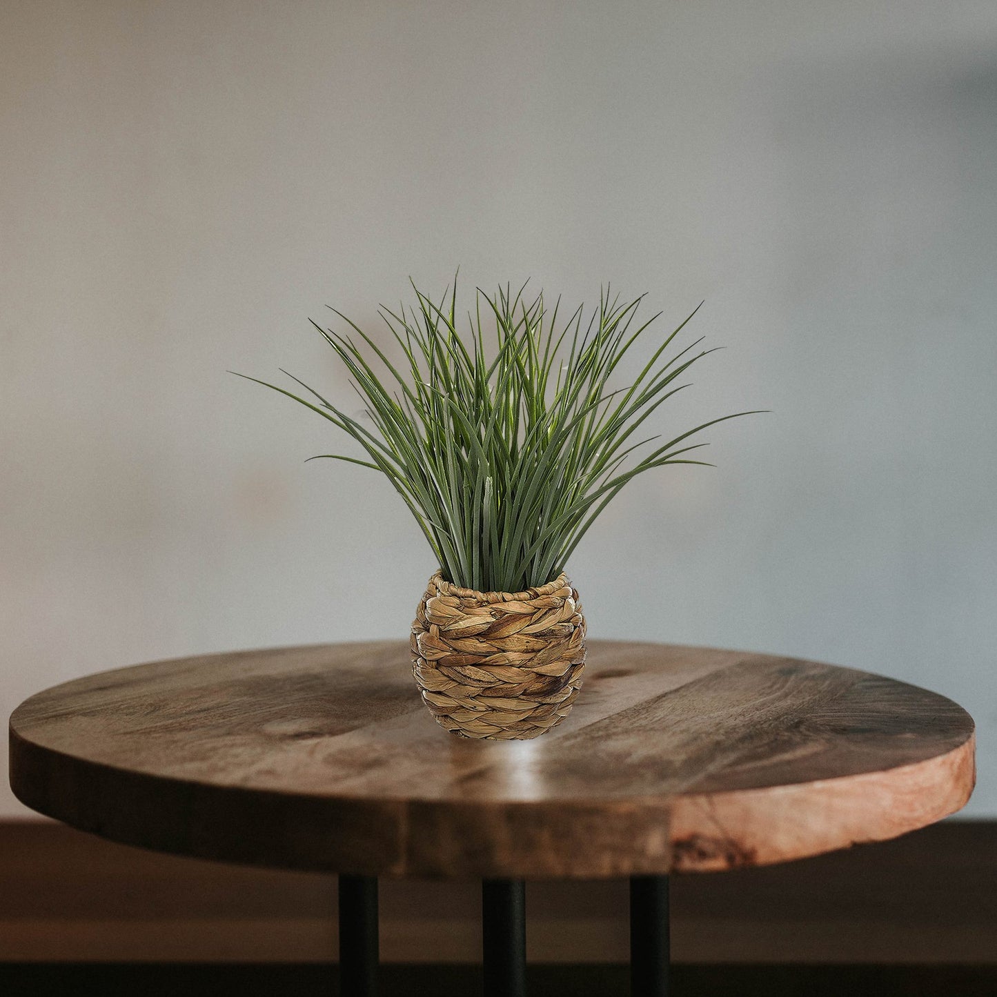 Maceta Decorativa Trenzada De Hojas De Jacinto Y Planta Decorativa_4