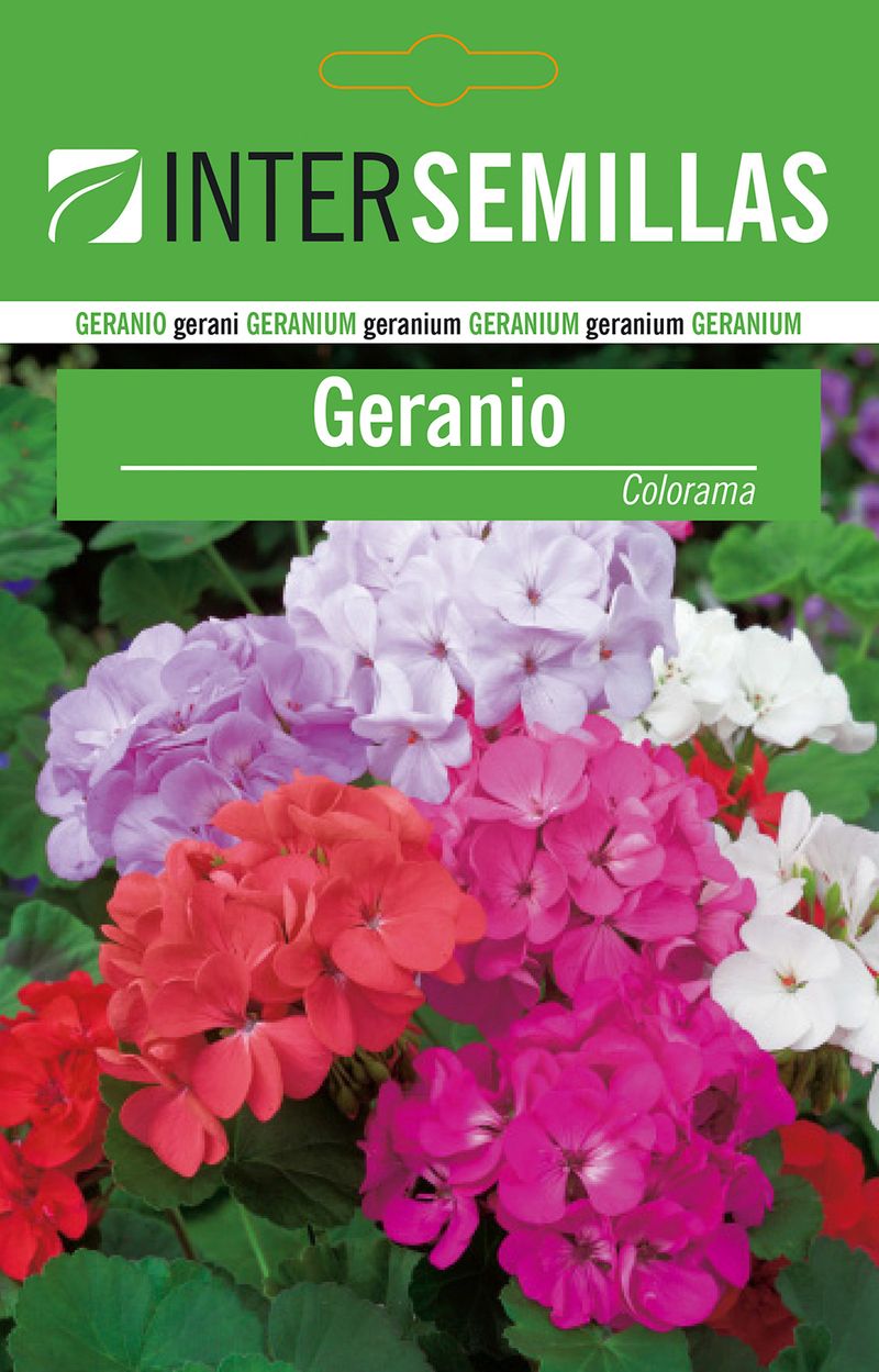Sobre De Semillas De Geranio Colorama