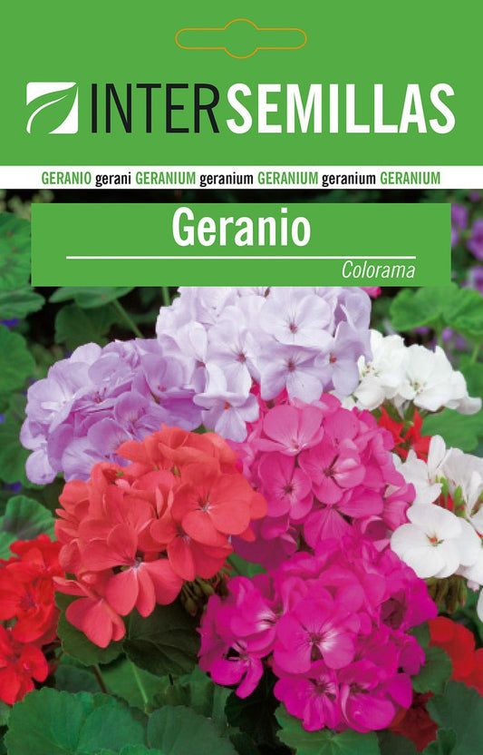 Sobre De Semillas De Geranio Colorama