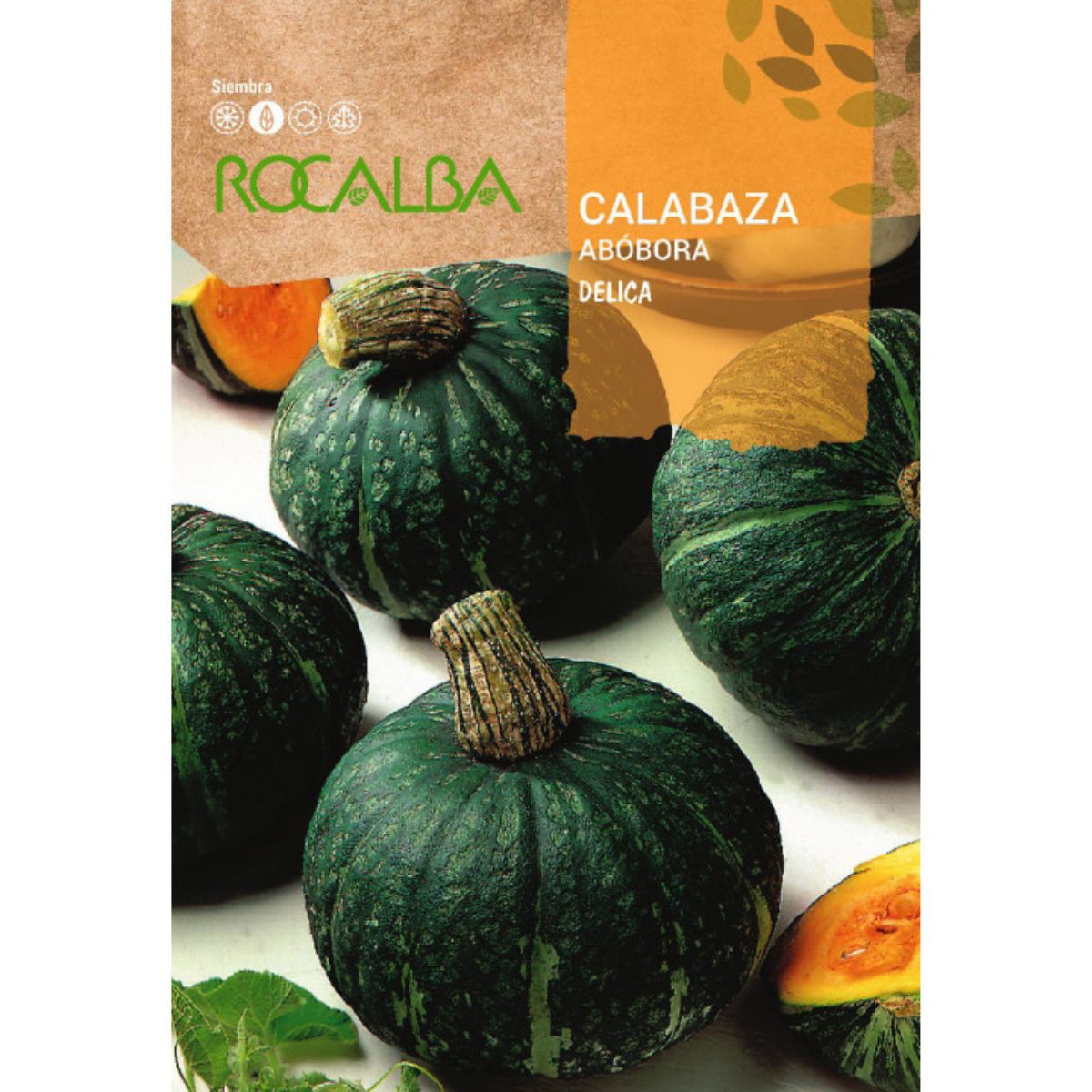 Semillas de Calabaza delica