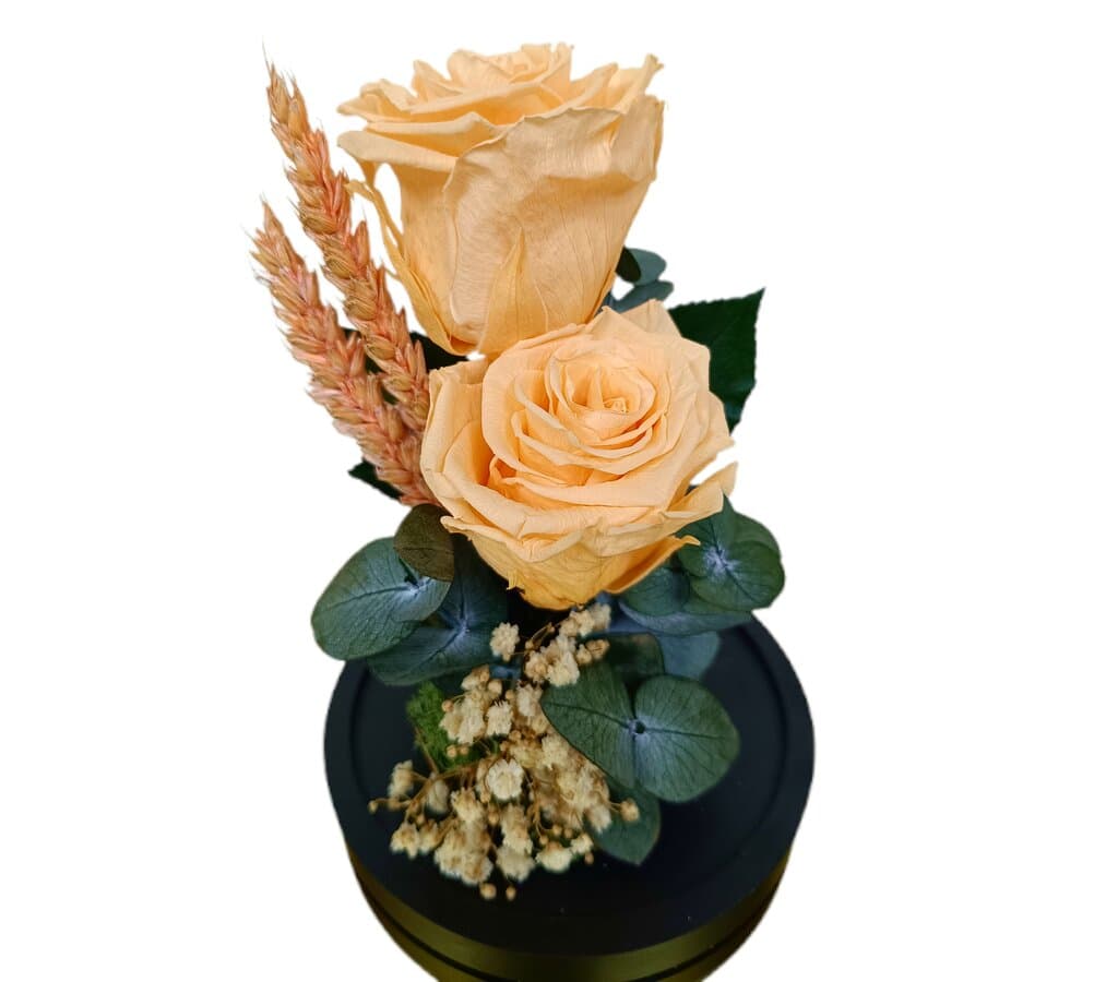 Cúpula 2 Rosas Melocotón 12x20cm