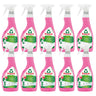 Pack 10x Spray antical frambuesa Frosch 500 ml