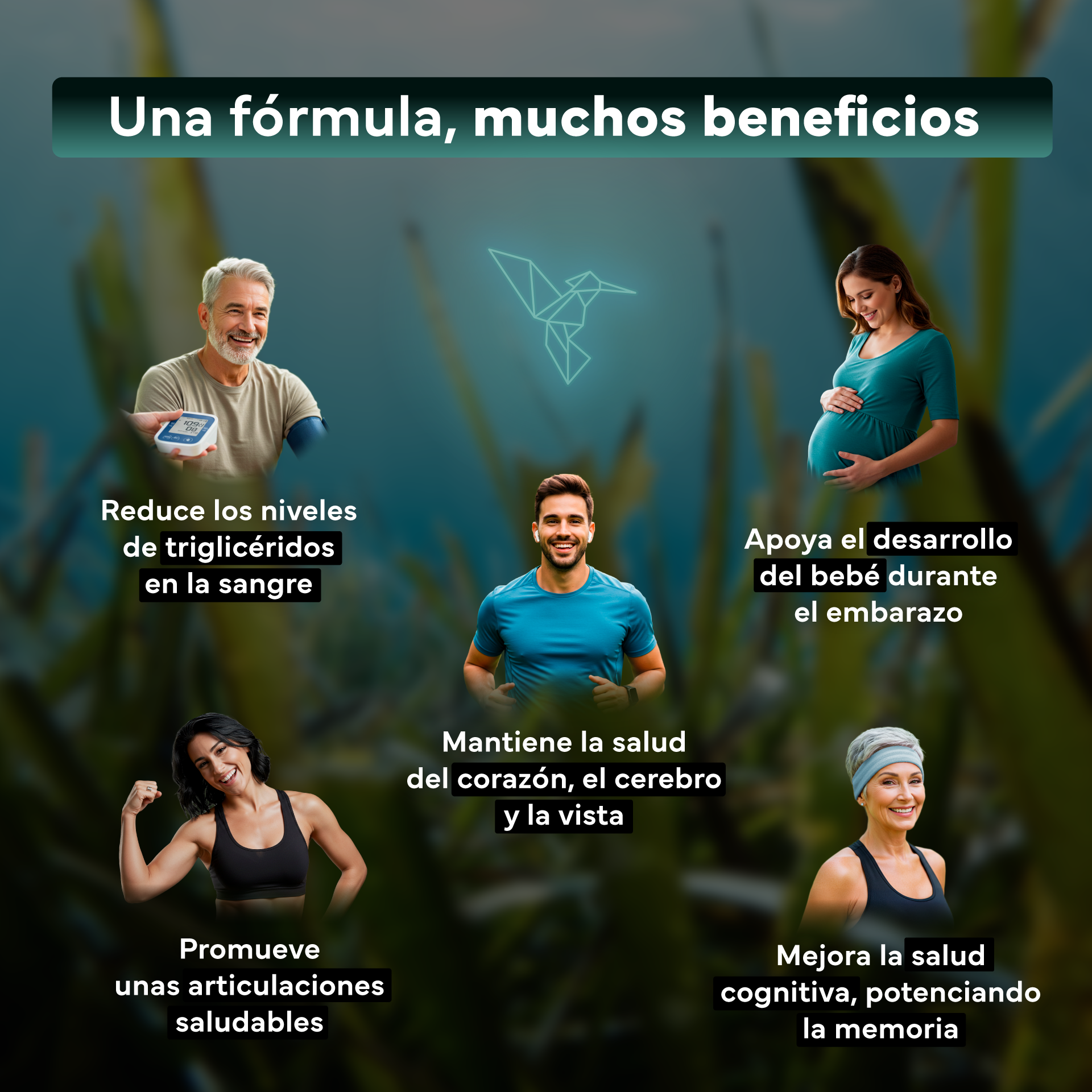 Omega 3 Vegano Sevens Nutrition. Dha Puro Para Cerebro, Visión Y Salud