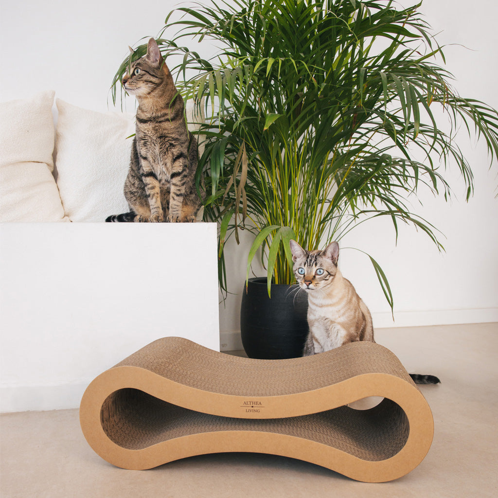 Rascador Para Gatos Con Forma De Infinito