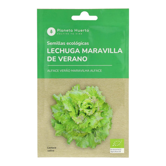Semillas de Lechuga maravilla de verano ecológicas Planeta Huerto