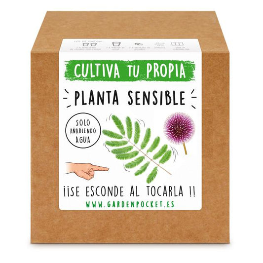 Kit siembra Planta sensible Garden Pocket